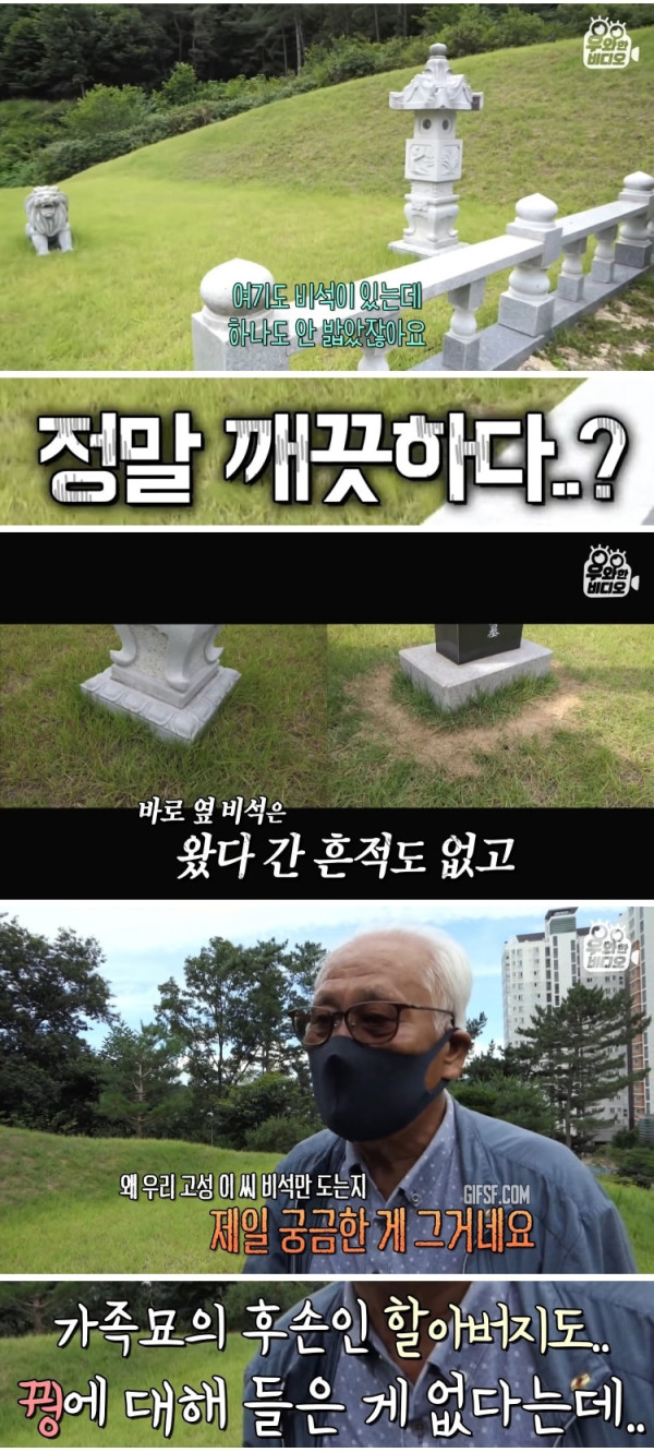 가족묘 주변에 생긴 발자취