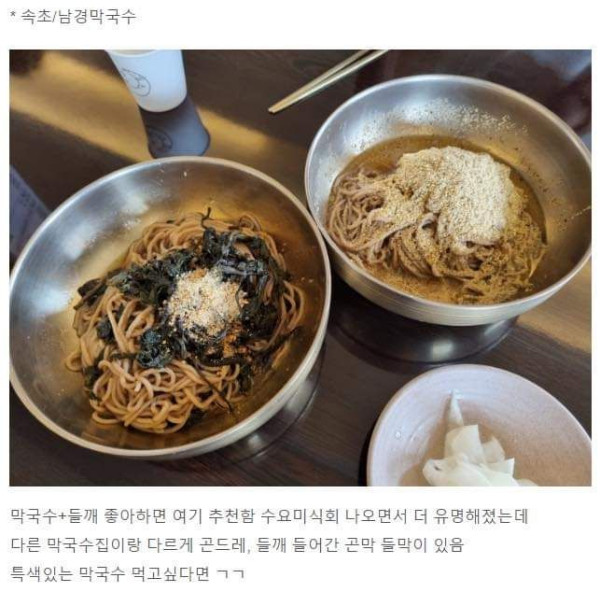 내돈내산 강원도 맛집 모음