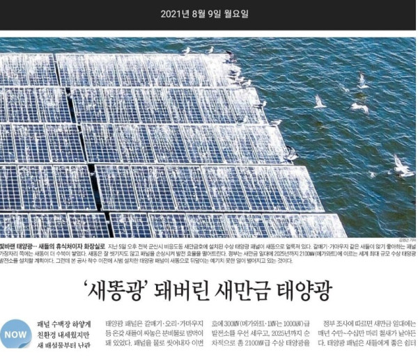 수십억짜리 배변 패드