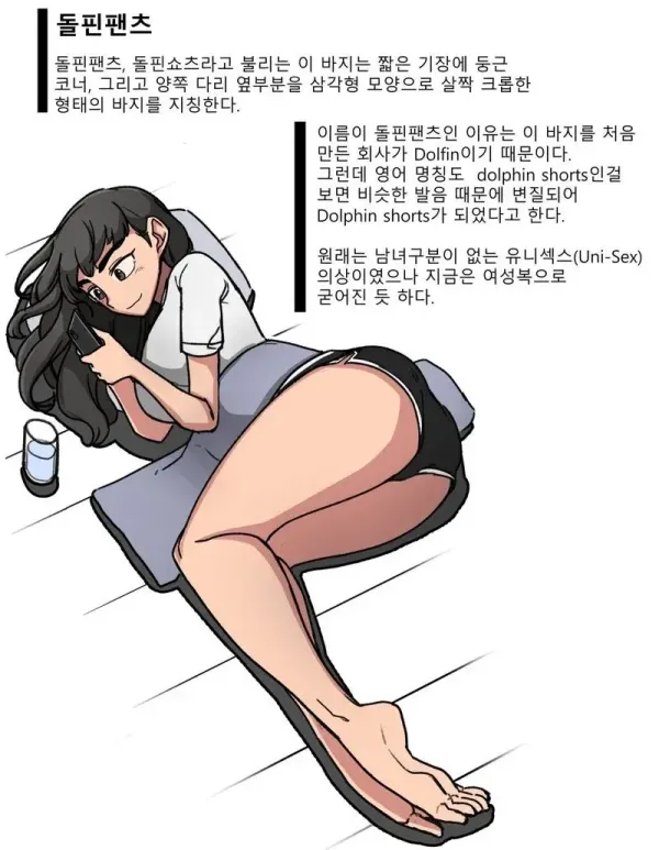 돌핀팬츠의 역사